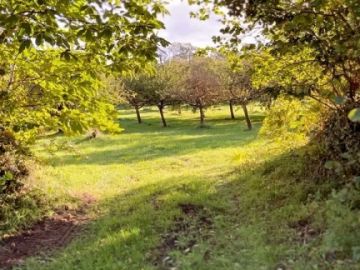 🍎 Millésime 2024

Et voilà ! Cela fait déjà 3 semaines que la récolte des pommes 🍏 a démarré !

Nous avons 35 variétés de pommes à cidre dans notre verger et...