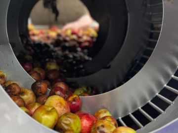 🍾 Millésime 2024

Pour la maison Séhédic, chaque étape de la fabrication compte et notamment le lavage et le tri des pommes à cidre 🍎🍏

Nous ne travaillons...