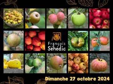 A l'occasion de la fête de la Pomme 🍏🍎organisée par @fouesnantlesglenan 

Des artisans cidriers du canton de Fouesnant seront présents pour vous faire...