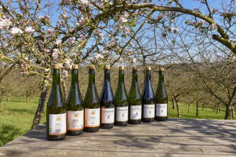 cidre sehedic cidres bio gamme complète cidre sehedic cidres bio gamme complète